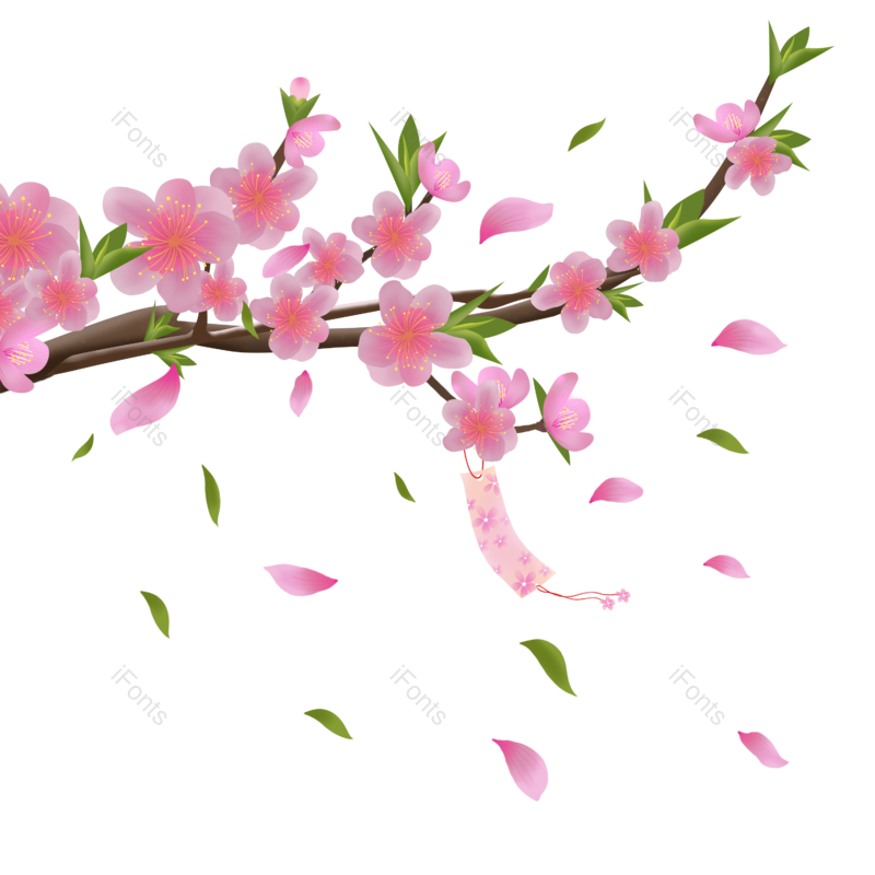 春季图片,花瓣元素,漂浮PNG,樱花免抠素材