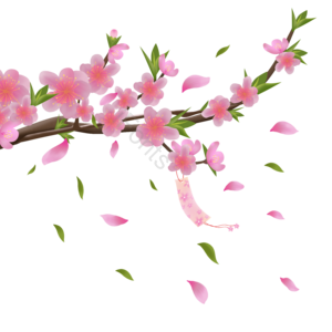 春夏 手绘 飞舞 桃花 花瓣 粉色 漂浮 立春