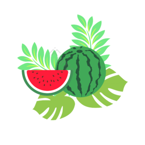 绿色 水果 果蔬 西瓜 夏季 解暑 植物 龟背叶