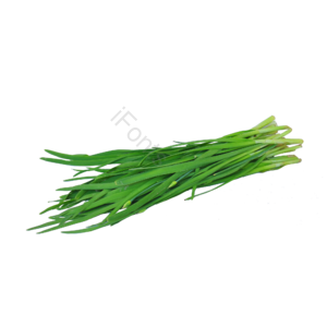 韭菜 菜 蔬菜 有机 绿色蔬菜 健康蔬菜  健康