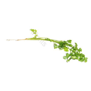 蔬菜 免抠 实物 png 素材 摄影 照片 实物