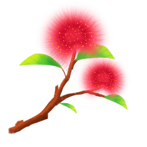 春天 红色的花 春季