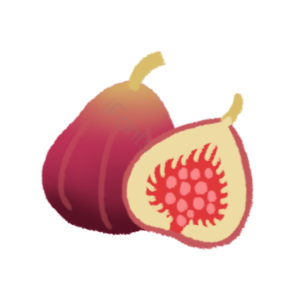 水果 切片 fruit 实物 免扣 无花果