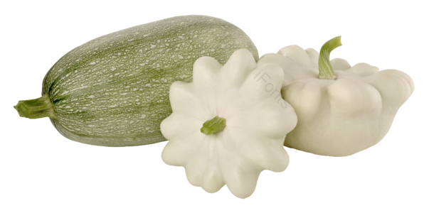 浅绿色 有机 蔬菜 菜品 西葫芦 椭圆形 健康
