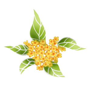 手绘 卡通 植物 桂花 花卉 素材