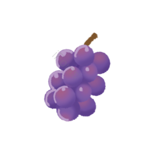 水果 切片 fruit 实物 免扣 葡萄
