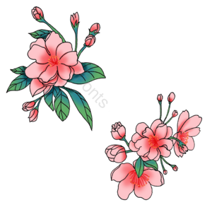 复古 民国风 手绘 植物 海棠 花卉 花朵