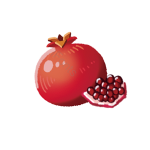 水果 切片 fruit 实物 免扣 石榴