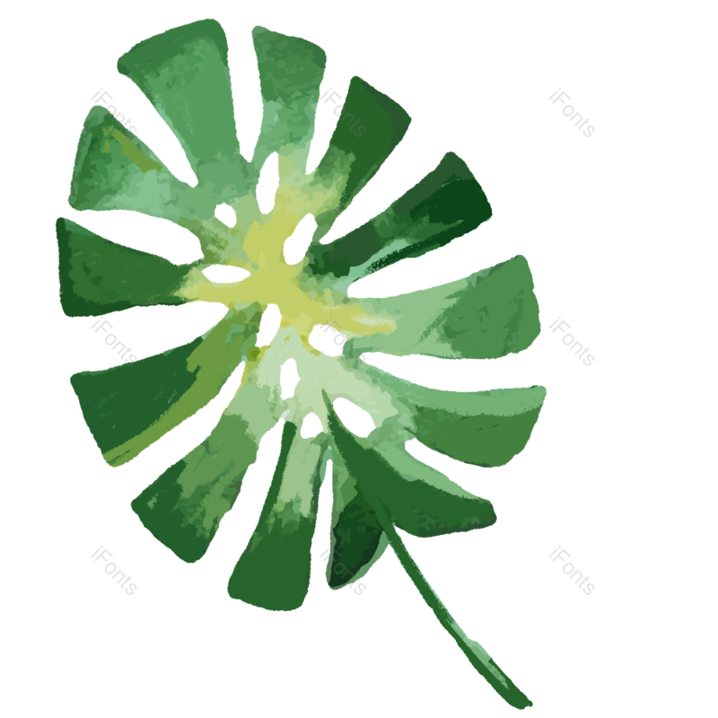 插画图片,节日装饰元素,绿色植物PNG,绿色树叶免抠素材