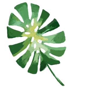 绿色植物 绿色树叶 水彩风格 插画 免扣 节日装饰 水彩植物