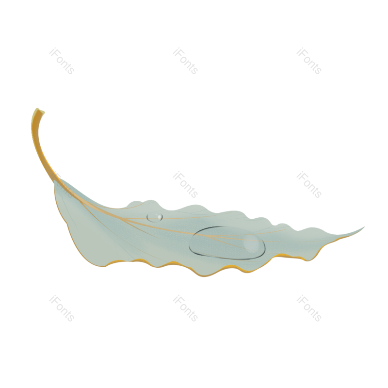 叶子图片,秋天元素,PNG,免抠素材
