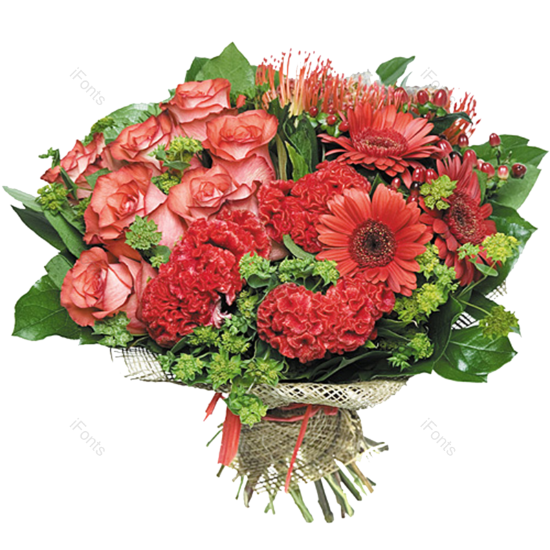 装饰图片,鲜花元素,盆栽PNG,红色免抠素材