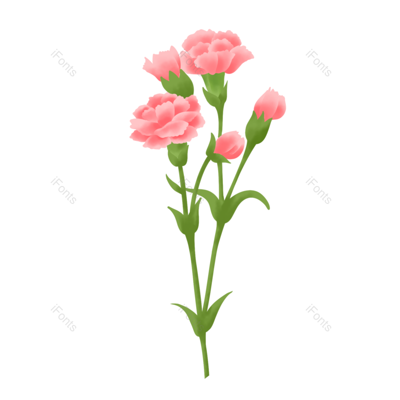 装饰图片,母亲节元素,花朵PNG,春天免抠素材