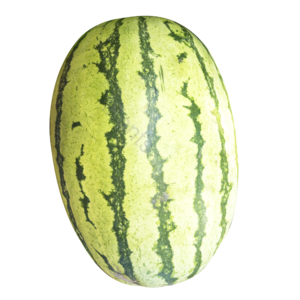 西瓜 水果 实物 免抠 png 素材 摄影 照片