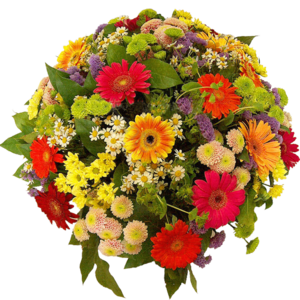手捧花 花束 鲜花 装饰 清新 菊花