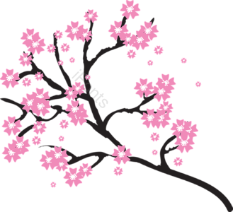春日 浪漫 粉色 花树 樱花 桃花 春季 樱花季