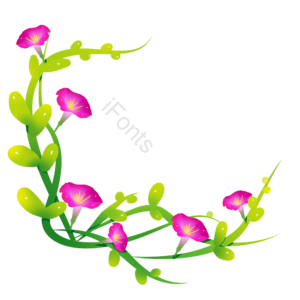 牵牛花 花藤 手绘