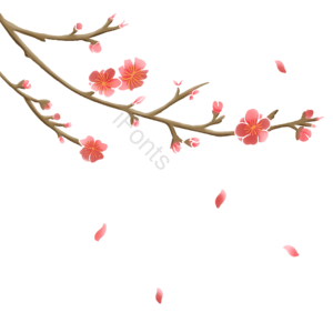 手绘 原创 植物 花卉 梅花 桃花 绽放 装饰