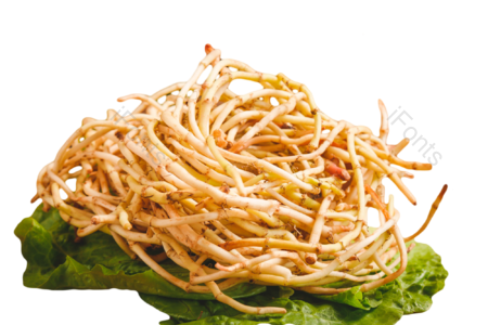 春夏 新鲜 鱼腥草 一片绿色 叶子 蔬菜 健康