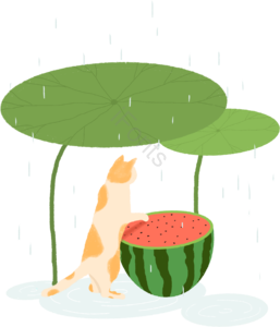 夏日  处暑  猫咪   西瓜
