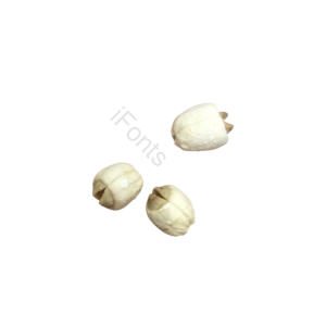 实拍 风干  莲子 种子  食物