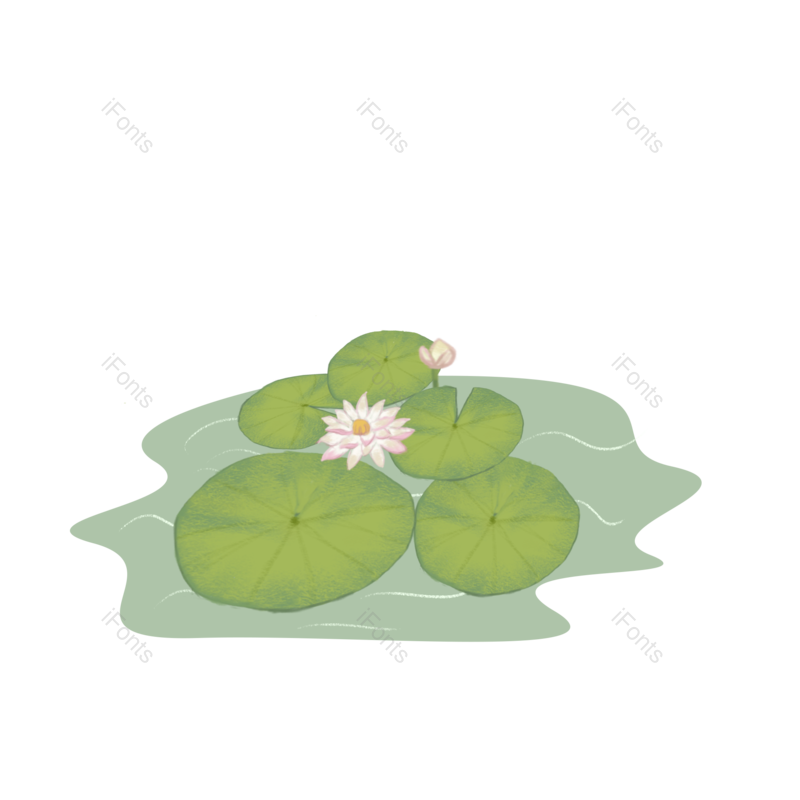 荷花图片,唯美元素,波纹PNG,小清新免抠素材