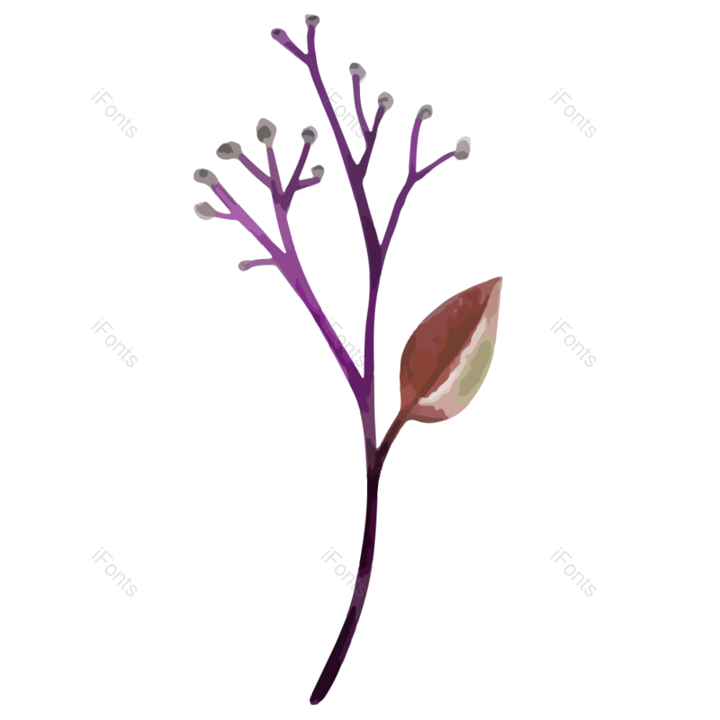 插画图片,树叶元素,植物PNG,手绘免抠素材