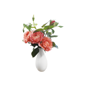 实拍  黄色  月季花  插花 