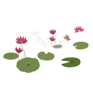 小暑 荷花 荷叶 小清新 手绘 png免抠素材