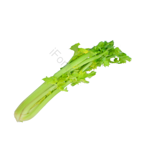 芹菜 菜 蔬菜 有机 健康蔬菜 绿色蔬菜 健康