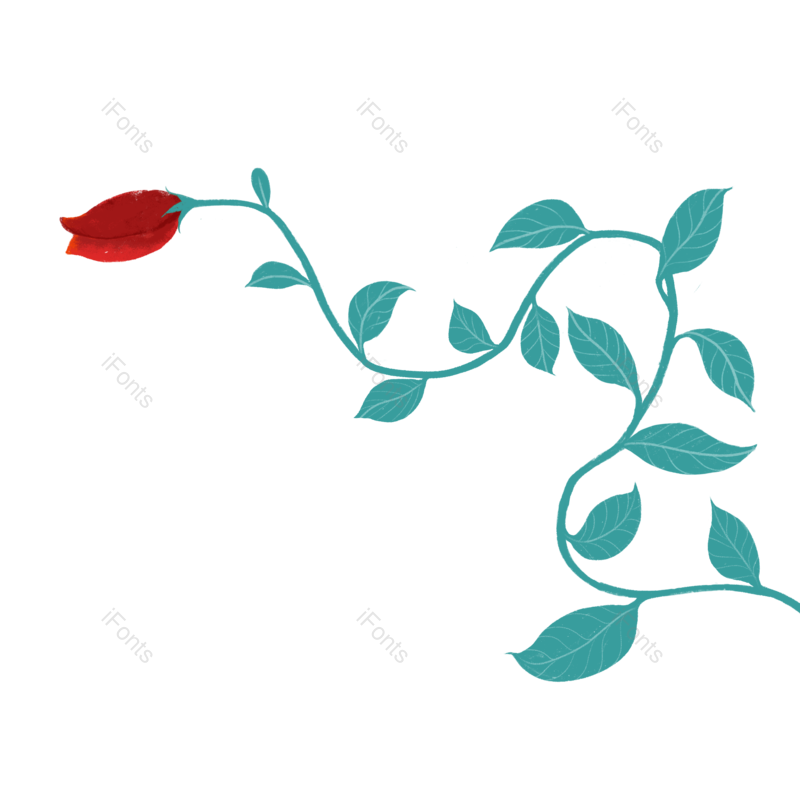 插画图片,玫瑰元素,植物PNG,手绘免抠素材