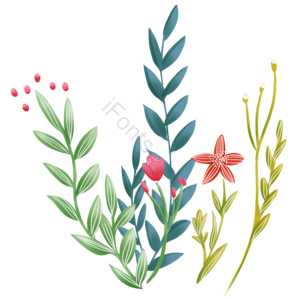 手绘 植物 花朵 绿叶 叶子 花卉  