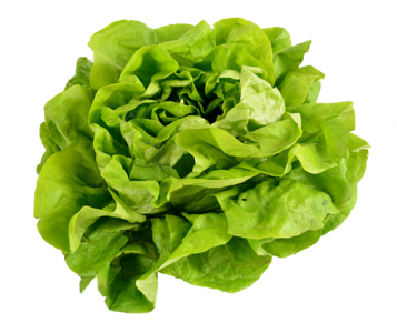 维生素 蔬菜 植物 绿色 青菜 叶子 健康