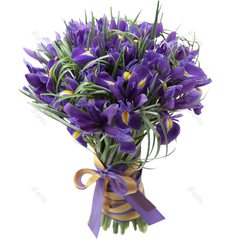 鲜花图片,紫色元素,花束PNG,植物免抠素材