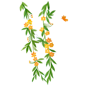 水彩 花卉 花卉 植物 夏天 免抠 