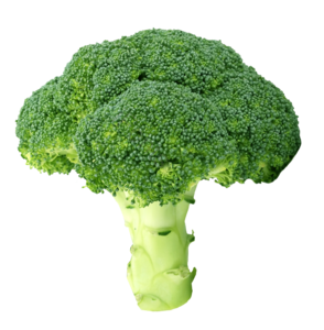 新鲜 蔬菜 菜品 西兰花 植物 菜花