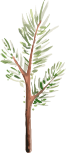 春季 手绘 插画风格 绿色 植物 免扣