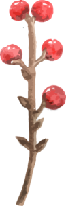 手绘 简单插画 风格 春天 植物 素材 免扣 春季