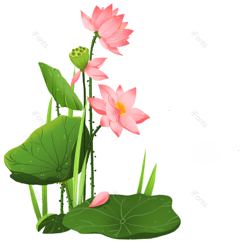 卡通图片,荷花元素,绿色PNG,手绘免抠素材