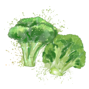 春夏 水彩 西蓝花 绿色 蔬菜 花菜 火锅 喷溅