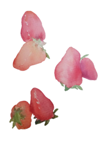 红色 草莓 手绘 水彩 水果 装饰 插画 素材