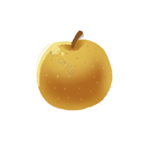 水果 切片 fruit 实物 免扣 梨