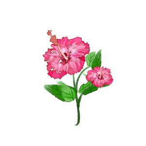 花株 清新 卡通 水彩 装饰 手绘风