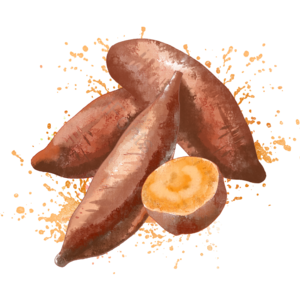 春夏 水彩 红薯 乡下 零嘴 美食 烤红薯