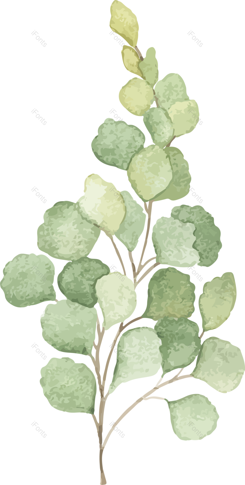 节日素材图片,植物元素,小清新PNG,免抠素材