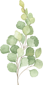 浅色系 插画风格 ins 小清新 植物 节日素材