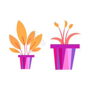 鲜花 花卉 绿植 植物 环境 美化 黄色 花瓶