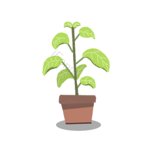 树苗 盆栽 绿色植物 卡通树苗 手绘盆栽 可爱小树苗 植树节 春天