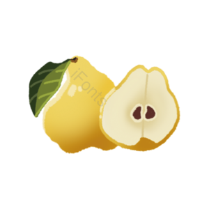 水果 切片 fruit 实物 免扣 无花果