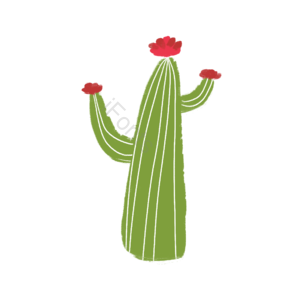 仙人树 绿植 插画 psd 小清新 png